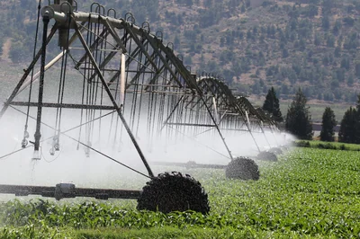 Comment l'influence du climat façonne l'agriculture durable en 2026
