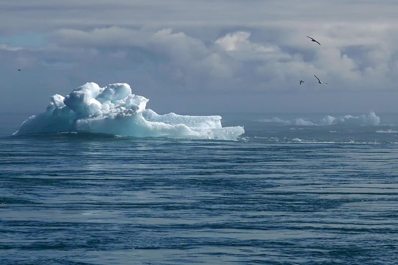Les effets du climat sur les migrations humaines : enjeux cruciaux en 2026