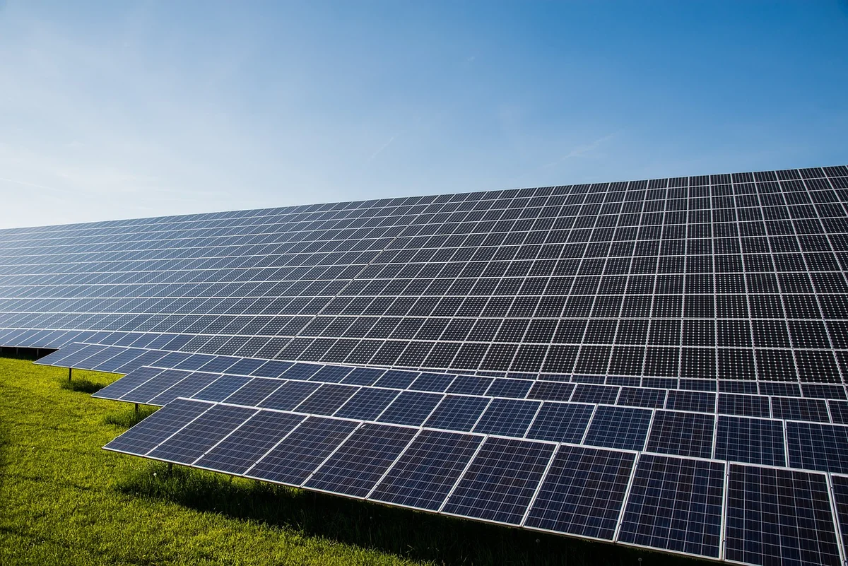 Transition écologique 2026 : défis et opportunités pour les entreprises à saisir