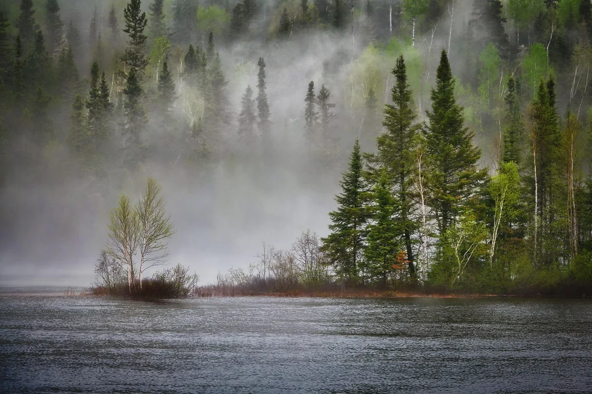 Comment le changement climatique menace la biodiversité locale en 2026