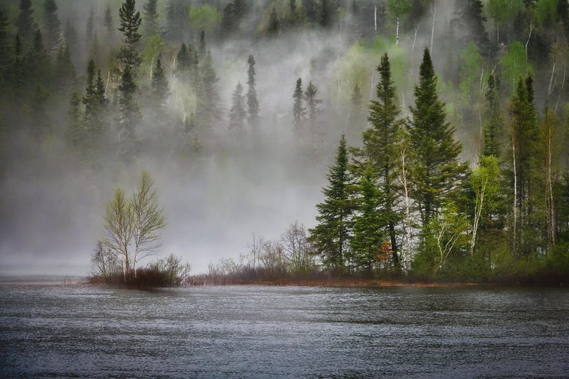 fleuve