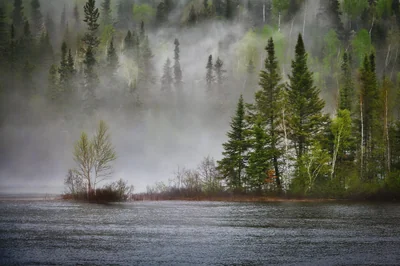 Comment le changement climatique menace la biodiversité locale en 2026