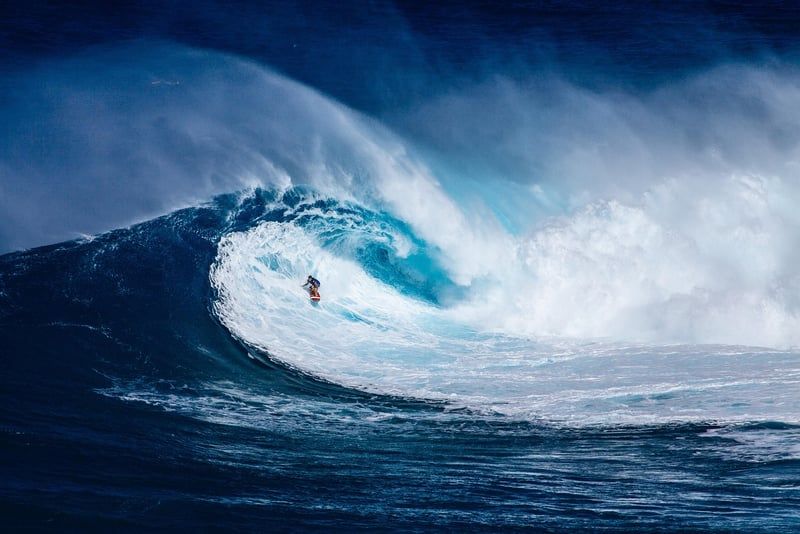 surfeur